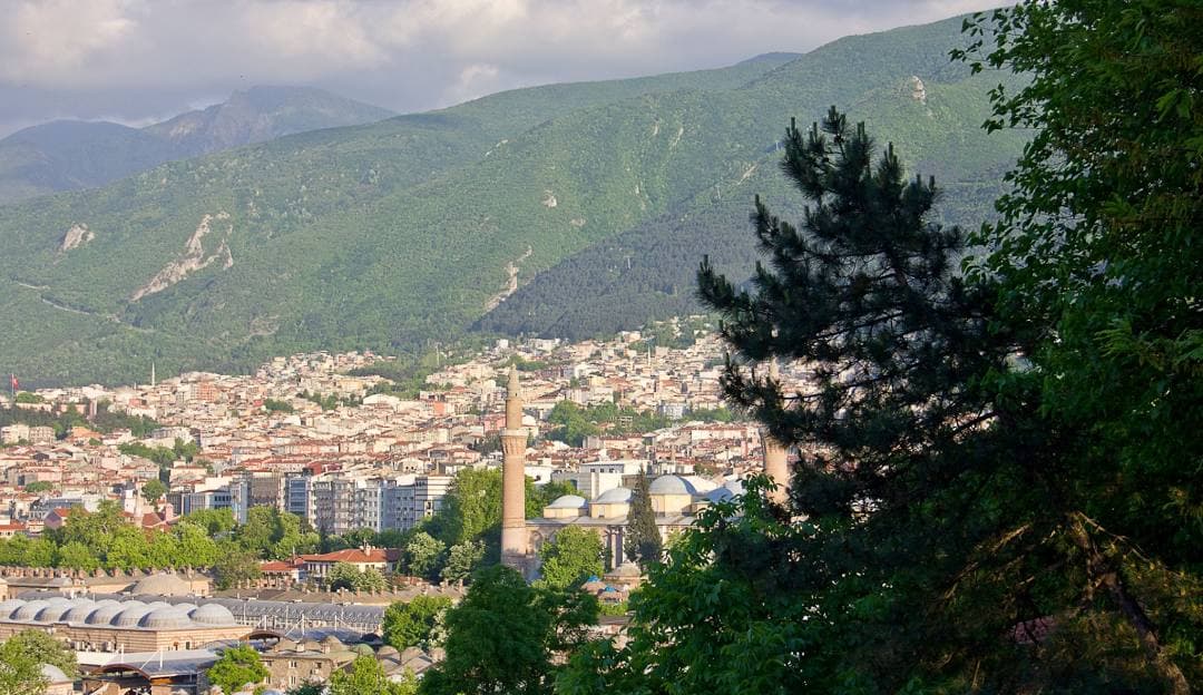 Bursa